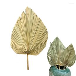 Decorative Figurines Natural Dried Cattail Leaf Fan Palm Window Display Art Wall Hanging Decor Wedding Arch Arrangement Spear