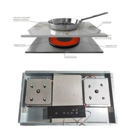 2000W Invisa Induction Stove 2 Burner Touch Hob Electric Built-in Double Induction Cooker
