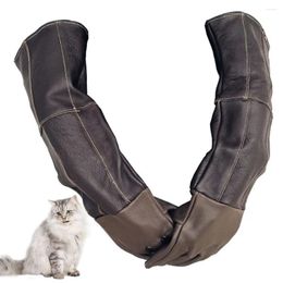 Dog Apparel Thicken Long Anti-Bite Scratch Cattlehide Gloves For Pet Cat Snake Wholesale