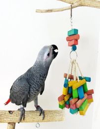 Natural Wood Pet Bird Toy Parrot Gnawing Bauble Bite Plaything Toys for Medium Large Bird Hamster Tokyo Rabbit Squirrel Home Decor2661714