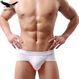 Underwear Mens Underwear Sexy Briefs Underpants for Man Calzoncillos Colours Male Panties Boy Slip Hombre Fashion Brand Modal Shorts