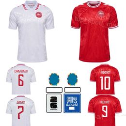 24 25 Euro Cup Denmark 12 DOLBERG Soccer Jerseys National Team 2 ANDERSEN 7 JENSEN 11 SKOV OLSEN 13 KRISTENSEN 6 CHRISTENSEN 8 DELANEY 1 SCHMEICHEL Football Shirt Kits