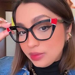 Sunglasses 2024 Cat Eye Flat Mirror Colour Block New TR90 Anti Blue Light Retro Eyeglass Frame Personalised Eyeglass Frame INS Style Female Y240416