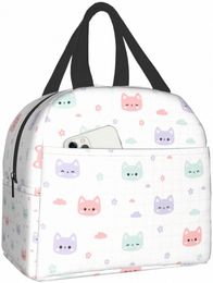 cute Cat Head Lunch Bag Travel Box Work Bento Cooler Reusable Tote Picnic Boxes Insulated Ctainer Lunch Bags for Women Girls Q173#