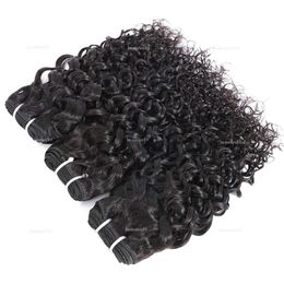 3 Bundles Virgin Indian Water Wave Human Hair Extensions Gaga Queen