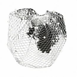 whitney New Pearls Beads Wedding Veils Birdcage with Metal Comb Women Hair Accories for Party Hair Wear accoires mariage o4Cy#