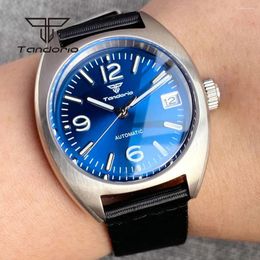 Wristwatches Tandorio NH35 Date 36mm Dive Automatic Watch For Men Double Domed AR Sapphire Luminous Sunburst Dial 20bar Mechanical