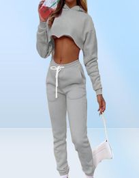 Women039s Two Piece Pants Fall Pink Sweatsuits For Women Hoodie Sweatshirt Crop Top Joggers Sweatpants Set Casual Tracksuits Wh1214194