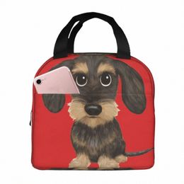 wirehaired Dachshund Cute Wire Haired Wiener Dog Wild Boar Lunch Bags Bento Box Lunch Tote Leakproof Bags Cooler Thermal Bag X8Td#