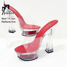 Slippers Transparent Perspex Sexy Women Summer Sandals 14.5CM Thick Heel Model Runway Shoes Clear Crystal Platform High Heels