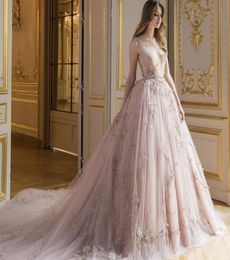 Elegant Blush Pink Evening Dress With Applique Deep VNeck Sleeveless Tulle Long Formal Evening Gowns Charming See Through Red Car8049349