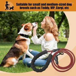 Dog Collars Pet Leashes Sturdy With Alloy Buckle Comfortable Foam Handle Stylish Lead For Walking Training