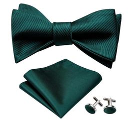 Bow Ties Self For Men Silk Butterfly Tie Green Designer Hanky Cufflinks Suit Collar Removable BarryWangLH10128293555