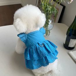 Fashion Puppy Lace Skirt Dogs Clothes Dress For Small Dogs Clothing Cat Pet Outfits Cute Summer Yorkies Cake Sold Dogs Skirt 240416