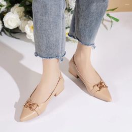 Dress Shoes Women Heels Low Summer French Back Hollow Women's Thick Heel Pointed Mary Jane Zaptos Mujer