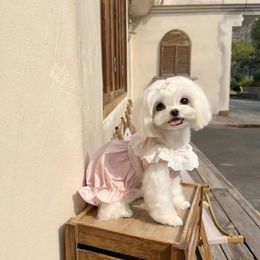 Dog Lace Pumpkin Group Pet Cute Ice Cream Color Pumpkin Skirt Summer Clothes Maltese Cat Bubble Skirt Dog Dresses for Small Dogs 240416