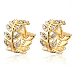Stud Earrings Fashion Jewellery Tree Shape Zircon Crystal Hoop Dangle Flower Buckle