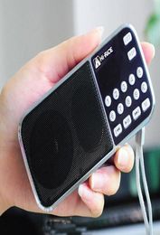 Portable FMAM radio USB TF card Mp3 Player digital speaker HiRice SD101 For Leisure Walk Dancing3917147