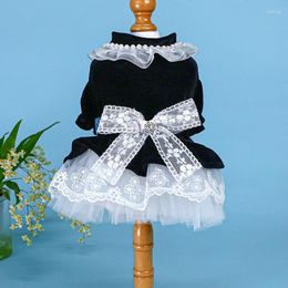 Dog Apparel 1PC Pet Spring And Autumn Soft Comfortable Black Velvet Princess Skirt Fluffy Cake For Small Medium