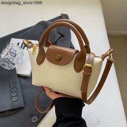 Factory High Quality Wholesale 2024 Spring/summer New French Style Longxiang Dumpling Bun Single Shoulder Handbag Crossbody Bag Womens