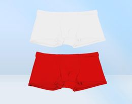 Underpants 2021 Summer Ice Silk Men Underwear Seamless Transparent Boxer Shorts Ultra Thin Sheer Breathable Comfortable Panties3588764