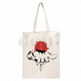 avatar The Last Airbender Aang Appa Anime Badass New Art Canvas Bag Totes Simple Print Shop Bags Girls Life Casual Pacakge k7Id#