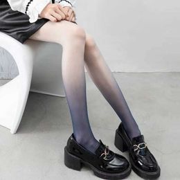 Sexy Socks Women Summer Gradient Stockings Pantyhose Girls Lolita Tights Anime Stockings Female Thin Transparent Sexy Seamless Socks 240416