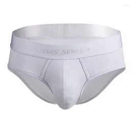 Underpants Men Cotton Briefs Breathable Underwear Bulge Pouch U Convex Graphene Liner Panties Soft Comfy Knickers Man's Lingerie