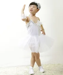 Smart and cute animals in the drama, white swans, white cranes, and ducklings, dressed in costumes and performance costumes