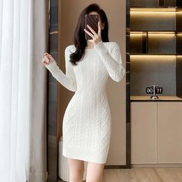 Casual Dresses Knitted Sweater Dress Women 2024 Autumn/Winter O Neck Long Sleeve Solid Wrapped Hip Bottom Fur Pullover Female