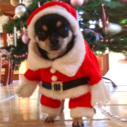 Dog Apparel Cat Costume Santa Cosplay Funny Transformed Cat/Dog Cute Pet Claus Role Playing Christmas Party Accessories