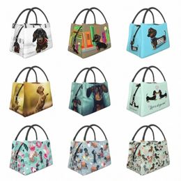 cute Dachshund Dog Insulated Lunch Bags for Women Sausage Wiener Badger Dogs Portable Thermal Cooler Bento Box Work Travel D8jM#