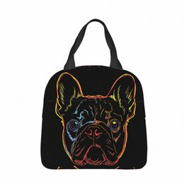 colourful French Bulldog Dog Insulated Lunch Bag Lovely Dog Animal Pets Women Kids Cooler Bag Thermal Portable Lunch Box Pack e2to#