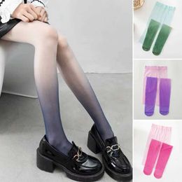 Sexy Socks Lolita Gradient Tights Sexy Anime Stockings Cute Leggings Black Coffee Red Blue Pantyhose Women Coloured Tights for Girls 240416