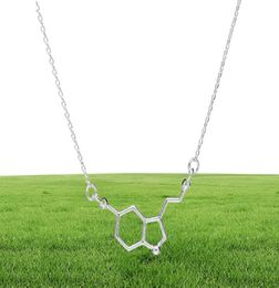 1 Chemische Molekülstruktur Anhänger Halskette Formel 5HT Geometrische exquisite Krankenschwester Einfache glückliche Frau Mutter Men039s Family6306050