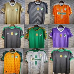 New Ivory Coast soccer Jersey 24 25 Third home away Training Pre match uniform 2024 2025 White purple orange yellow black green Football clothes shirt tops Sweatshirt