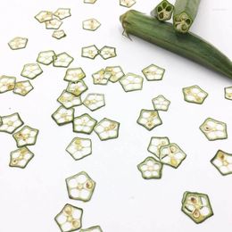 Decorative Flowers 24PCS/about 1.5cm Real Okra Sliced Specimen Pressed Flower DIY Drip Glue Mobile Phone Case Bookmark Makeup Jewelry