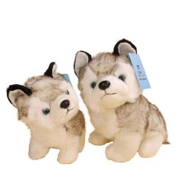 whole husky plush toy super cute animal small dog Grey husky stuffed toys 18cm 7quot inch2716000