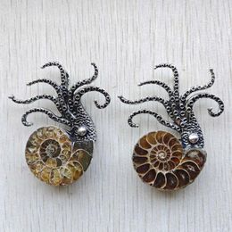 Pendant Necklaces Natural Ammonite Snail Shell Octopus Shape Pendants Brooch For Jewellery Accessories Making Wholesale 2pcs/lot