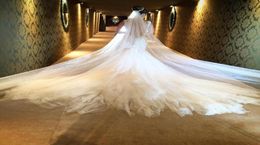 Luxury 3m Long Pearls Bridal Veils Cathedral Length Wedding Veils Bride Veils Custom Made One Layer Sequins Bridal Dress Veil 20532794311