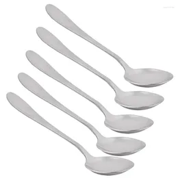 Spoons Stainless Steel Tea Soup Dinner Scoops For