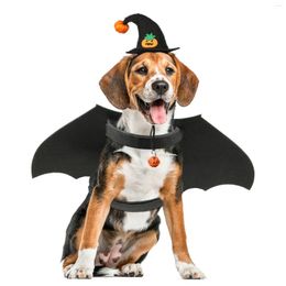 Dog Apparel Bat Suit Wings Pets Cosplay Halloween Costume Supplies Dress Hat Party Decorations