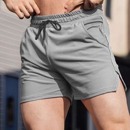 Fiess, Sports, Leisure Shorts, Men's Quick Drying, Breathable, Summer Running Training GYM Mesh Colour Block New Style F41632