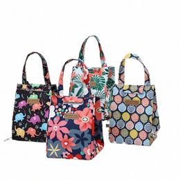 lunch Bag Multicolor Cooler Bag Women Waterproof Hand Pack Thermal Breakfast Box Portable Picnic Travel Food lunch Bags lchera 53s3#