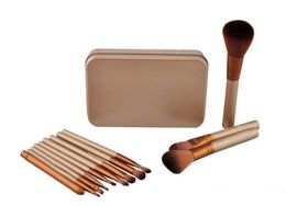 Makeup Brushes 12 pieces Professional Makeup Brush set Kit With Iron Box9567512