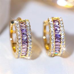 Backs Earrings Charm Female Purple Zircon Stone Clip Yellow Gold Colour Wedding Jewellery For Women