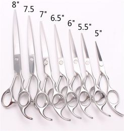 C1006 5quot 55quot 6quot 65quot 7quot 75quot 8quot Japan Steel Hairdressing Cutting Shears Pro Human Hair Scissor7796899