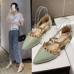 Sandals 2024 Brand Women's Shoes Pointed Toe Low Heels Women Fashion Rivet Causal Dress Woman Elegant Thick Shoe