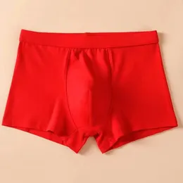 Underpants Pure Cotton Red Chinese Men's Underwear Colour Youth Married