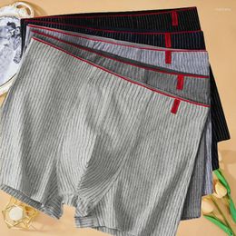 Underpants Men Stripe Boxers Briefs Plus Size L-4XL Lounge Shorts Boxer Sexy Lingerie Mens Underwear Under Wear Panties